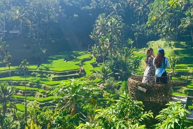 Ubud : Waterfall, Temple & Rice Terrace Guided Tour - Common questions