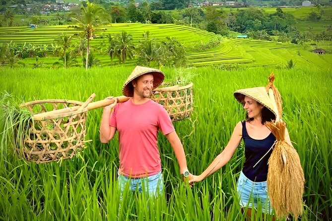 Ulun Danu Beratan Temple - Tanah Lot Temple Tour by UNESCO World Heritage - Tour Highlights and Inclusions