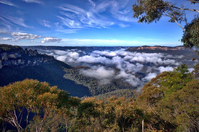 Unforgettable Blue Mountains Day Tour - Guide Expertise and Assistance Insights