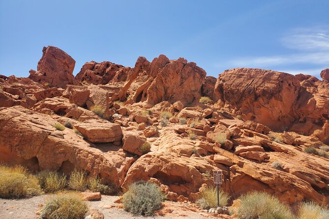 Valley of Fire State Park Tour W/Private Option (2-6 People) - Customer Reviews and Testimonials