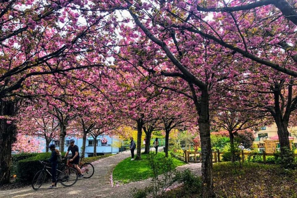 Vancouver City Tour With Cherry Blossom Festival Private - Common questions