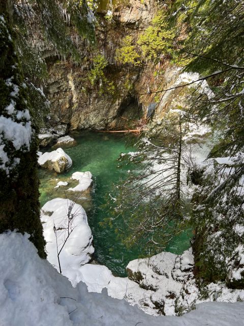 Vancouver: Rainforest Waterfall Hike and Suspension Bridge - Full Description of Experience