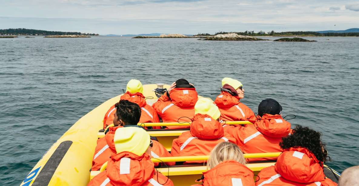 Victoria: 3-Hour Whale Watching Tour in a Zodiac Boat - Inclusions