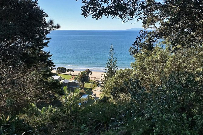 Waiheke Island Bush & Beach Walk - Start Time