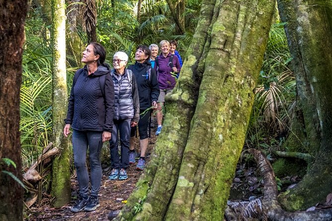 Waiheke Island Private Forest Therapy Walk - Meeting and Pickup Details