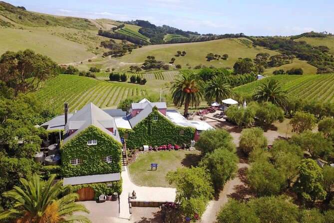 Waiheke Island Scenic Tour Winelunch at Award Winning Restaurant - Tour Guide and Host Experience
