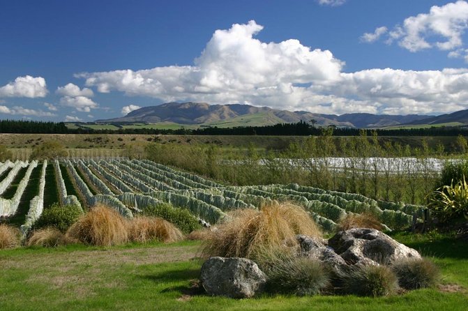 Waipara Wine Experience for 2 or More, Inc Tastings and Lunch - Transportation Details