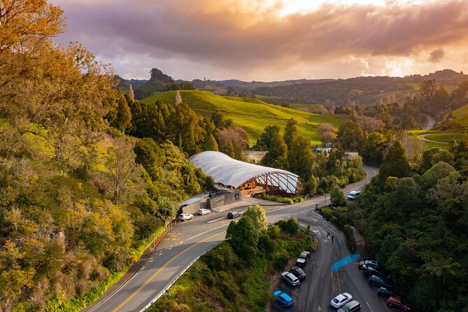 Waitomo Glowworm Cave Experience - Small Group Tour From Auckland - Customer Feedback