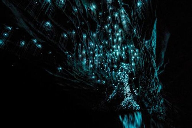 Waitomo Glowworm Caves and Auckland City Tour a Day Trip - Auckland City Tour