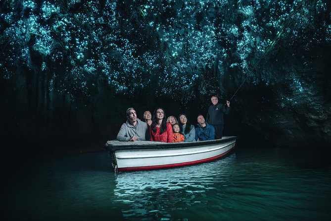 Waitomo Glowworm Caves In a Private Small Group Tour-Auckland. - Guest Experiences and Services