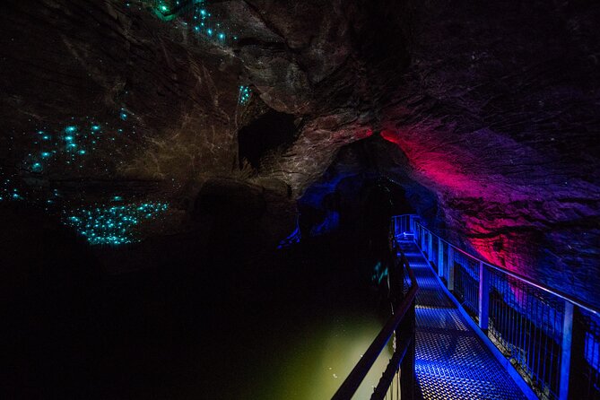 Waitomo Glowworm & Ruakuri Twin Cave - Private Tour From Auckland - Pricing and Booking Information