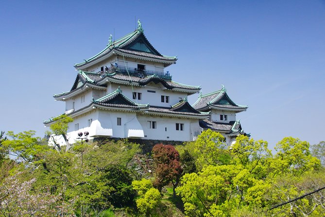 Wakayama Castle Town Walking Tour - Local Culture Insights