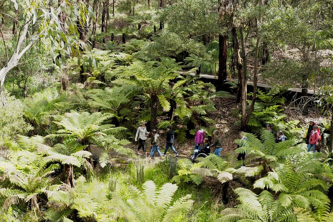 Walk With Wildlife: Guided Tour in Great Ocean Road - Cancellation Policy