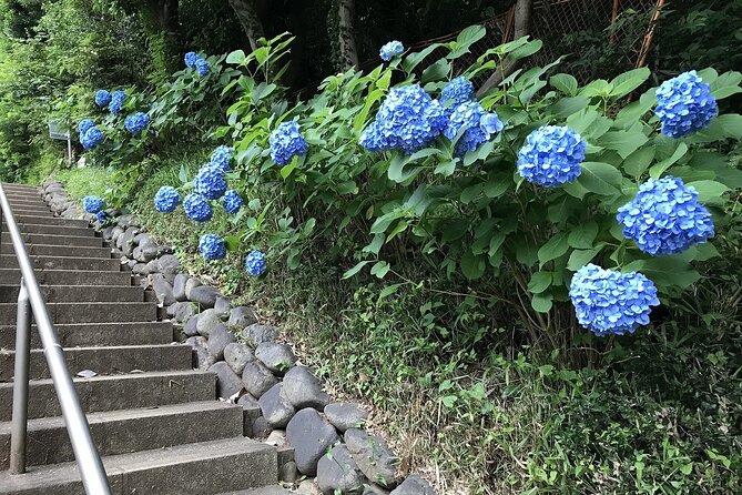 Walking the Only Valley in Tokyo, Eat and Compare Hot Pot Dishes. - Meeting Point and Pickup Information