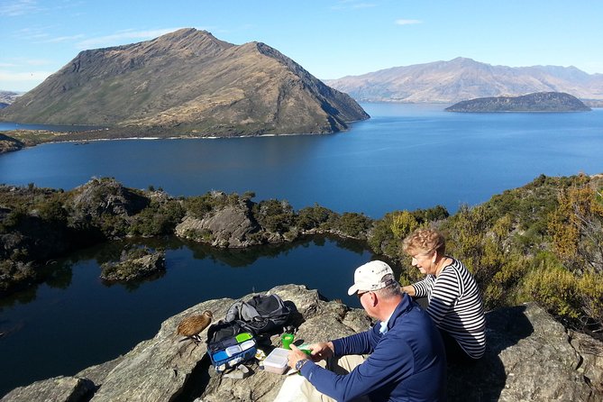 Wanaka Nature Encounter: Lake Cruise and 4WD Safari - Rare Bird Spotting on Mou Wahou Island