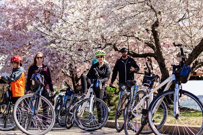 Washington DC Cherry Blossoms By Bike Tour - Tour Details and Logistics