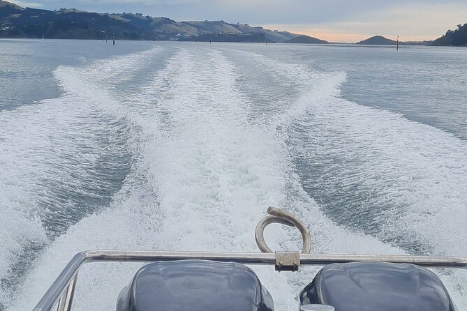 Water Taxi and Shuttle to Larnach Castle - Tour Experience Highlights