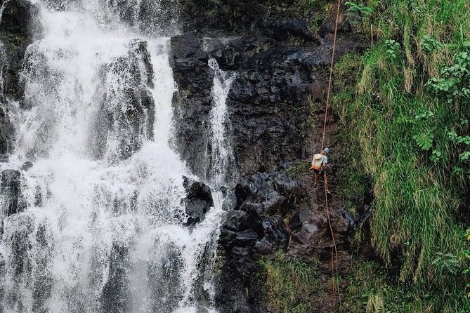 Waterfall Rappelling at Kulaniapia Falls: 120 Foot Drop, 15 Minutes From Hilo - Additional Information