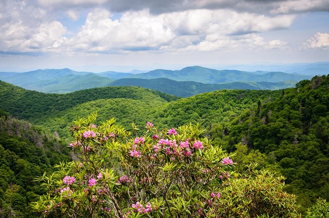 Waterfalls and Blue Ridge Parkway Hiking Tour With Expert Naturalist - Scenic Landmarks