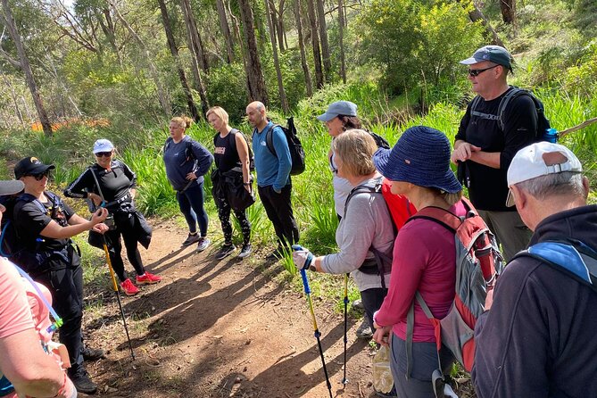 Waterfalls, Wildflowers & Wandoo Hiking Experience - Wildflower Spotting Tips