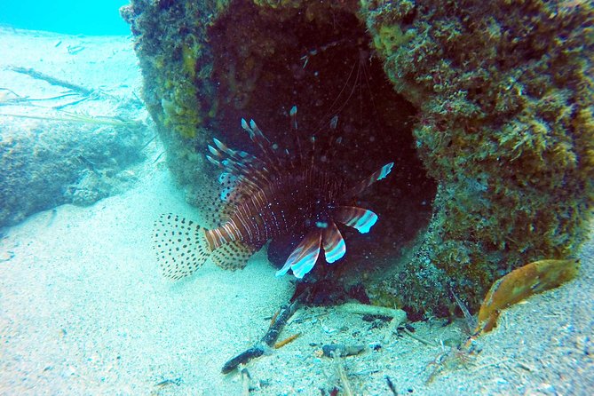 Wave Break Island Scuba Diving on the Gold Coast - Customer Feedback