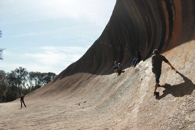 Wave Rock, Pinnacles and Rottnest One Day Aeroplane Tour - Booking Details