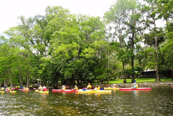 Wekiva River Guided Kayak Tour - Cancellation Policy