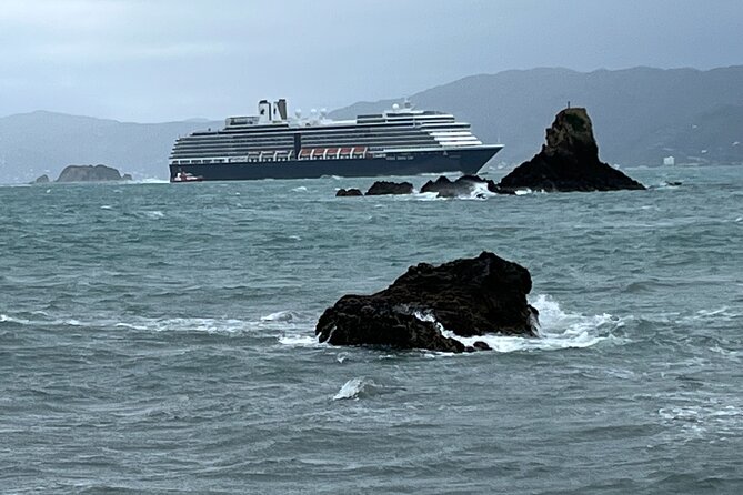 Wellington Full Day Private Tour in Electric Tesla SUV - Customizable Tour Options