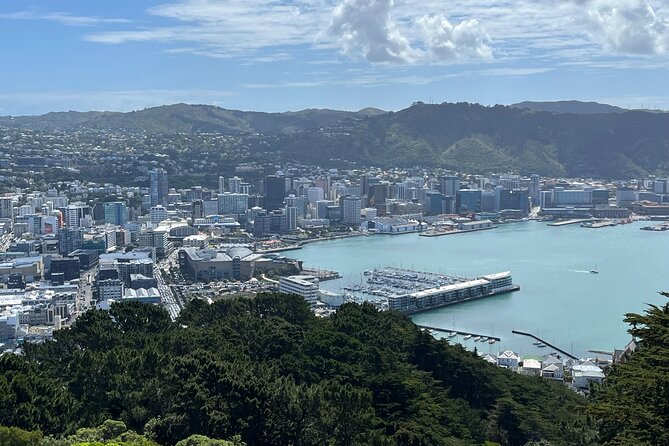 Wellington Half Day Private Tour in Electric Tesla SUV - Guide Experiences