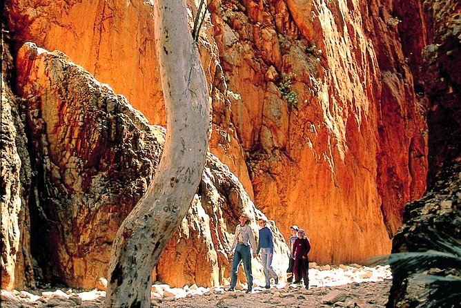 West Macdonnell Ranges Day Trip From Alice Springs - Tour Highlights