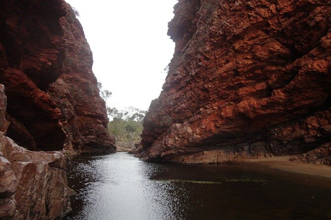 West MacDonnell Ranges Half-Day Private Charter Guided Tour - Expert Tour Guide
