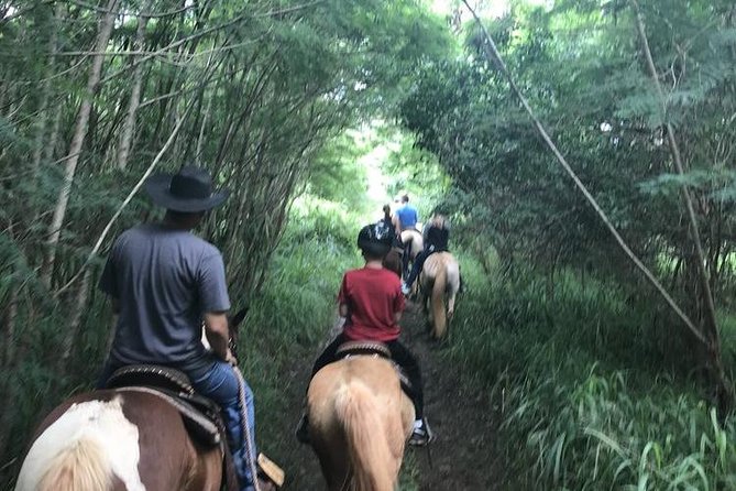 West Maui Mountain Waterfall and Ocean Tour via Horseback - Directions