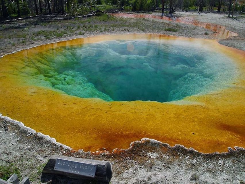 West Yellowstone: Yellowstone Day Tour Including Entry Fee - Itinerary Highlights and Points of Interest