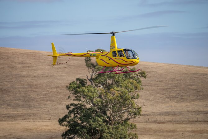 Western Ridge & Valley Floor: 20-Minute Helicopter Flight - Weight Restrictions