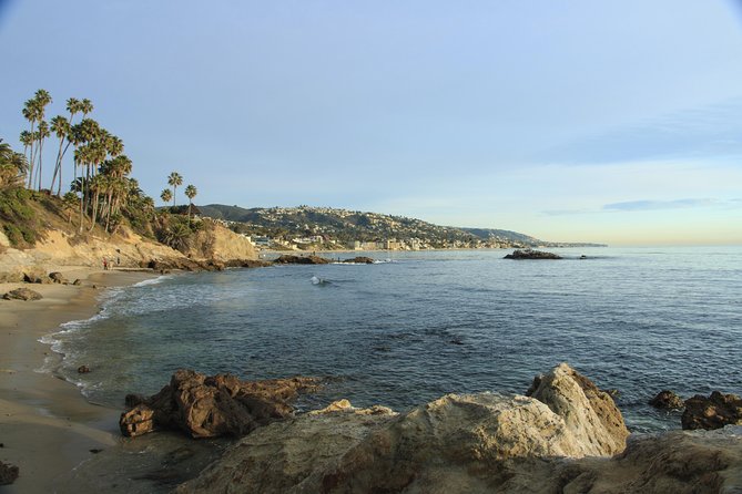 Whale-Watching and Orange County Beaches Tour From Anaheim - Unique Wildlife Encounters