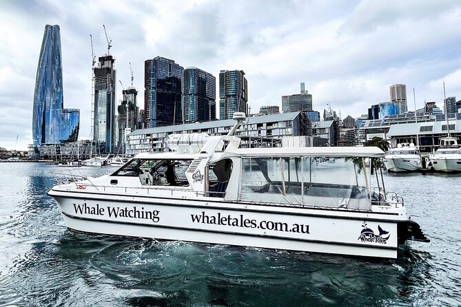 Whale Watching Boat Trip in Sydney - What To Bring