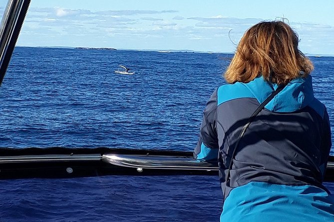 Whale Watching From Augusta in Western Australia - Cancellation Policy
