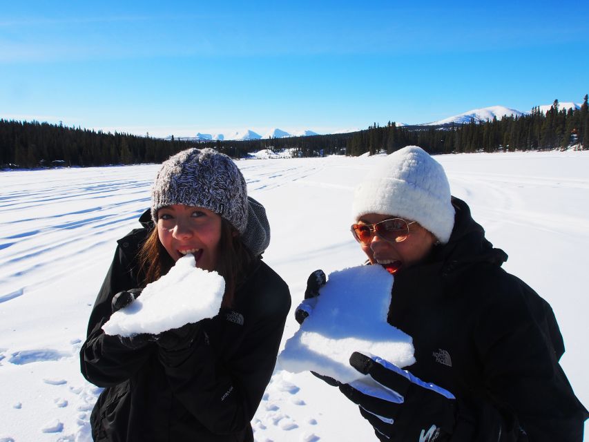 Whitehorse: Half-Day Snowshoeing Tour - Full Description