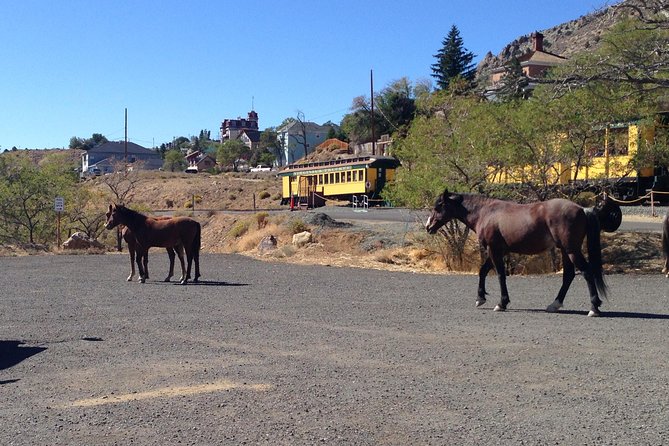 Wild West Day Trip to Virginia City From Tahoe With Train Ride - Cancellation Policy Details
