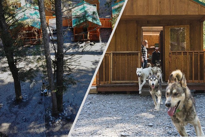 Wilderness Dog Sled Ride and Tour in Seward - Booking and Cancellation Policy
