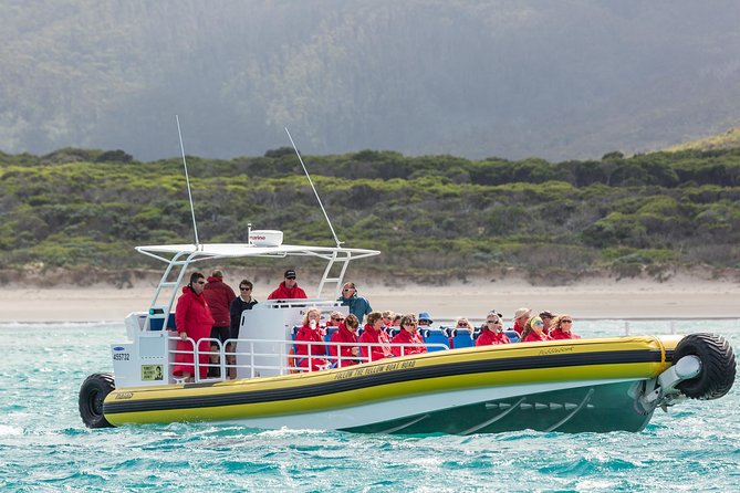 Wilsons Promontory Wilderness Cruise From Tidal River - Traveler Feedback