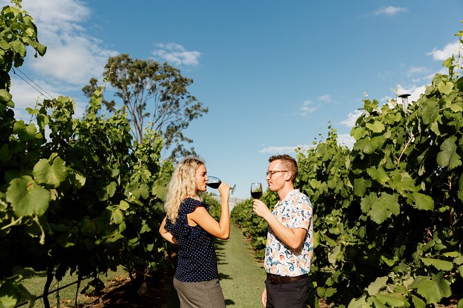 Wine Tasting Tour to Tamborine Mountain - Logistics and Pickup