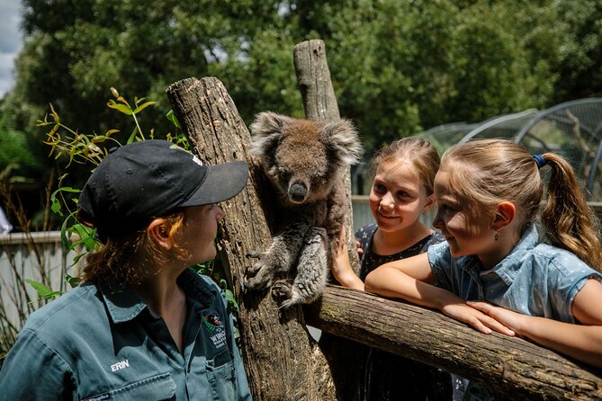 Wings Wildlife Park Shuttle, Burnie Shore Excursion - Experiences With Wildlife