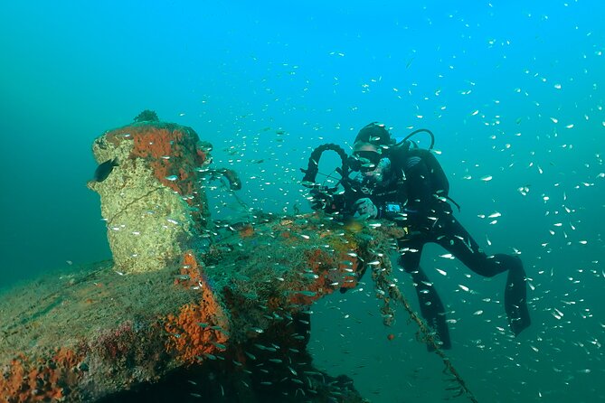 Wreck and Bridge Span Dive Charter for Certified Divers - Meeting Point Details