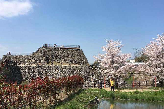Yamato-Koriyama Castle and Goldfish Small-Group Tour From Nara - Customer Reviews and Ratings