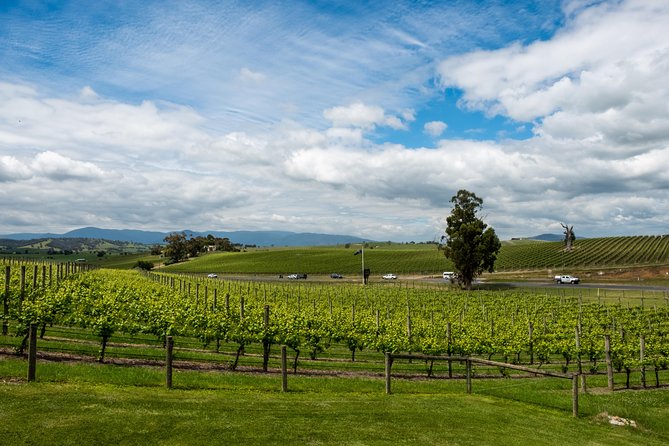 Yarra Valley Wine and Winery Tour From Melbourne - Why Choose This Tour
