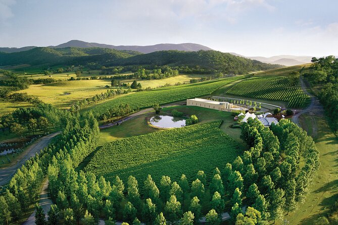 Yarra Valley Wineries Private Day Tour - Booking Process