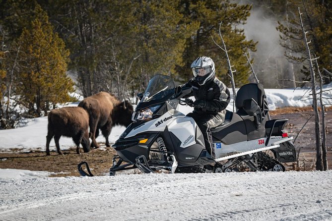 Yellowstone Old Faithful Full-Day Snowmobile Tour From Jackson Hole - Additional Information