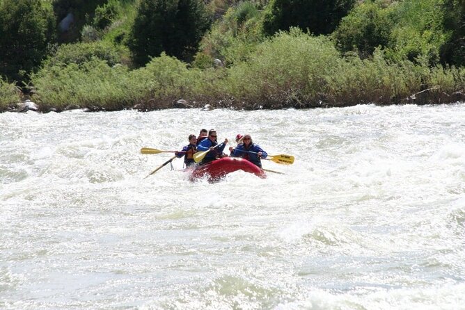 Yellowstone River Half-Day Rafting Tour With Yankee Jim Canyon  - Gardiner - Cancellation Policy and Traveler Feedback