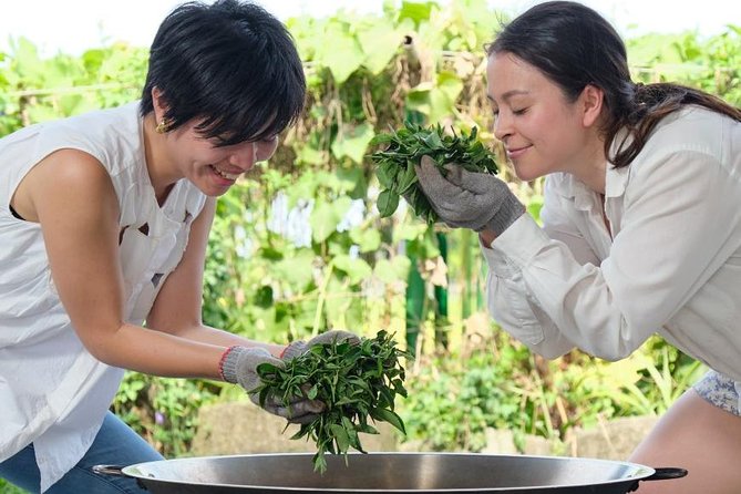 Yilan Rural Tea Picking Experience From Taipei City - Cancellation Policy
